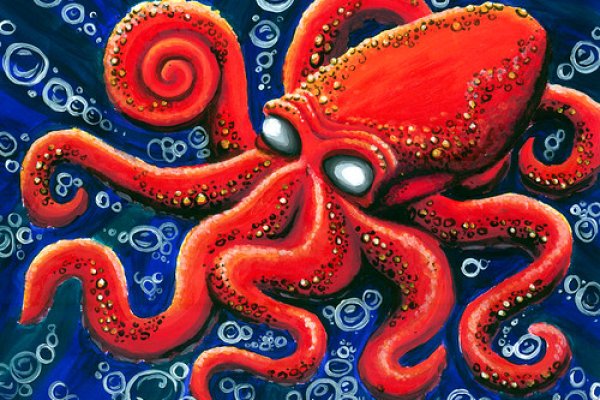 Kraken гидра